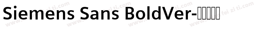 Siemens Sans BoldVer字体转换